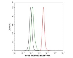 Invitrogen NFkB p50/p105 Recombinant Rabbit Monoclonal Antibody (SZ20-01)