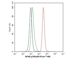Invitrogen NFkB p50/p105 Recombinant Rabbit Monoclonal Antibody (SZ20-01)