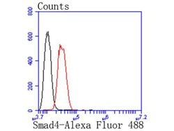 Invitrogen SMAD4 Recombinant Rabbit Monoclonal Antibody (SP05-05) 100 &mu;L;