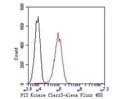 Invitrogen VPS34 Recombinant Rabbit Monoclonal Antibody (SY0286) 100 &mu;L | Buy Online | Invitrogen&trade; | Fisher Scientific