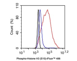 Invitrogen Phospho-Histone H3 (Ser10) Recombinant Rabbit Monoclonal Antibody