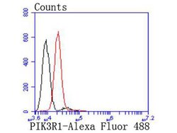 Invitrogen PI3K p85 alpha Recombinant Rabbit Monoclonal Antibody (SU04-07)