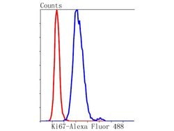 Invitrogen Ki-67 Recombinant Rabbit Monoclonal Antibody (ST50-01) 100 &mu;L;