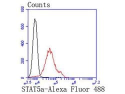 Invitrogen STAT5 alpha Recombinant Rabbit Monoclonal Antibody (SC66-09)