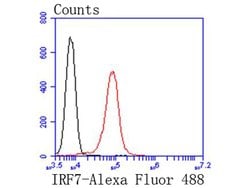 Invitrogen IRF7 Recombinant Rabbit Monoclonal Antibody (SC0617) 100 &mu;L;