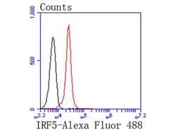 Invitrogen IRF5 Recombinant Rabbit Monoclonal Antibody (SN201-05) 100 &mu;L;