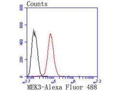 Invitrogen MEK3 Recombinant Rabbit Monoclonal Antibody (SD20-93) 100 &mu;L;
