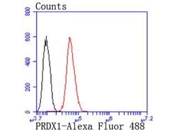 Invitrogen PRDX1 Recombinant Rabbit Monoclonal Antibody (JF0945) 100 &mu;L;