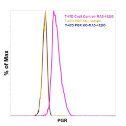 Invitrogen Progesterone Receptor Recombinant Rabbit Monoclonal Antibody