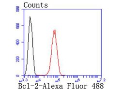 Invitrogen Bcl-2 Recombinant Rabbit Monoclonal Antibody (JF104-8) 100 &mu;L;