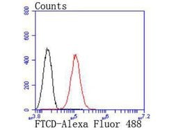 Golgi protein 58k Recombinant Rabbit Monoclonal Antibody (JF099-5):Antibodies,