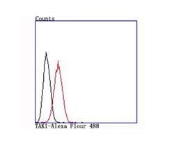 Invitrogen TAK1 Recombinant Rabbit Monoclonal Antibody (JM73-19) 100 &mu;L;