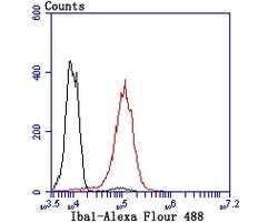 Invitrogen IBA1 Recombinant Rabbit Monoclonal Antibody (JM36-62) 100 &mu;L;