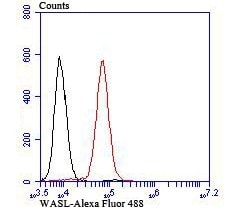 Invitrogen N-WASP Recombinant Rabbit Monoclonal Antibody (JU07-31) 100 &mu;L | Buy Online | Invitrogen&trade; | Fisher Scientific