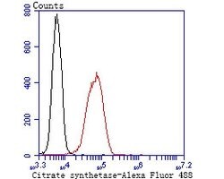 Citrate Synthase Recombinant Rabbit Monoclonal Antibody (JU80-30) 100 &mu;L | Buy Online | Thermo Scientific | Fisher Scientific
