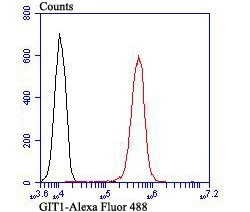 Invitrogen GIT1 Recombinant Rabbit Monoclonal Antibody (JU33-39) 100 &mu;L;