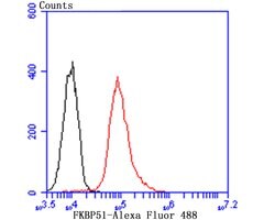Invitrogen FKBP5 Recombinant Rabbit Monoclonal Antibody (JB95-39) 100 &mu;L;