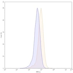 Invitrogen Bevacizumab Humanized Recombinant Human Monoclonal Antibody