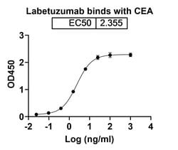 Invitrogen Labetuzumab Humanized Recombinant Human Monoclonal Antibody 100 &mu;g | Buy Online | Invitrogen&trade; | Fisher Scientific
