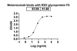 Invitrogen Motavizumab Humanized Recombinant Human Monoclonal Antibody 100 &mu;g | Buy Online | Invitrogen&trade; | Fisher Scientific