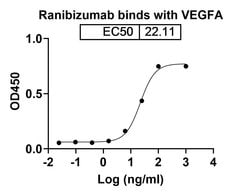 Invitrogen Ranibizumab Humanized Recombinant Human Monoclonal Antibody 100 &mu;g | Buy Online | Invitrogen&trade; | Fisher Scientific