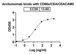 Invitrogen Arcitumomab Recombinant Mouse Monoclonal Antibody 100 &mu;g | Buy Online | Invitrogen&trade; | Fisher Scientific