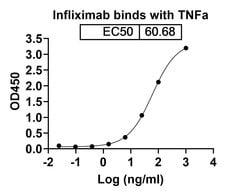 Invitrogen Infliximab Chimeric Recombinant Human Monoclonal Antibody 100
