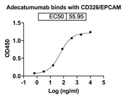 Invitrogen Adecatumumab Recombinant Human Monoclonal Antibody 100 &mu;g;