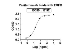 Invitrogen Panitumumab Recombinant Human Monoclonal Antibody 100 &mu;g | Buy Online | Invitrogen&trade; | Fisher Scientific