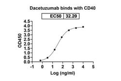 Invitrogen Dacetuzumab Humanized Recombinant Human Monoclonal Antibody