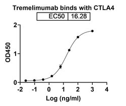Invitrogen Tremelimumab Recombinant Human Monoclonal Antibody 100 &mu;g | Buy Online | Invitrogen&trade; | Fisher Scientific