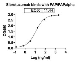 Invitrogen Sibrotuzumab Humanized Recombinant Human Monoclonal Antibody