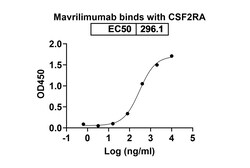 Invitrogen Mavrilimumab Recombinant Human Monoclonal Antibody 100 &mu;g | Buy Online | Invitrogen&trade; | Fisher Scientific
