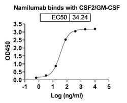 Invitrogen Namilumab Recombinant Human Monoclonal Antibody 100 &mu;g; Unconjugated:Antibodies,