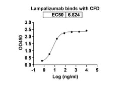 Invitrogen Lampalizumab Humanized Recombinant Human Monoclonal Antibody 100 &mu;g | Buy Online | Invitrogen&trade; | Fisher Scientific