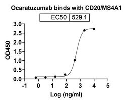 Invitrogen Ocaratuzumab Humanized Recombinant Human Monoclonal Antibody