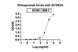 Invitrogen&trade;&nbsp;Bimagrumab Recombinant Human Monoclonal Antibody