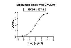 Invitrogen Eldelumab Recombinant Human Monoclonal Antibody 100 &mu;g; Unconjugated:Antibodies,