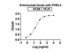 Invitrogen Enfortumab Recombinant Human Monoclonal Antibody 100 &mu;g | Buy Online | Invitrogen&trade; | Fisher Scientific