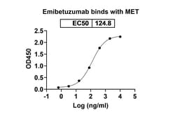 Invitrogen Emibetuzumab Humanized Recombinant Human Monoclonal Antibody 100 &mu;g | Buy Online | Invitrogen&trade; | Fisher Scientific