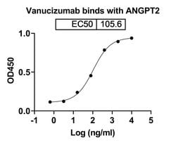 Invitrogen Vanucizumab Humanized Recombinant Human Monoclonal Antibody