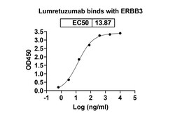 Invitrogen Lumretuzumab Humanized Recombinant Human Monoclonal Antibody