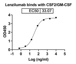Invitrogen Lenzilumab Recombinant Human Monoclonal Antibody 100 &mu;g;