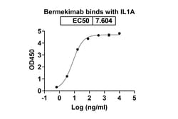 Invitrogen Bermekimab Humanized Recombinant Human Monoclonal Antibody 100