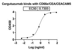 Invitrogen Cergutuzumab Humanized Recombinant Human Monoclonal Antibody