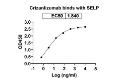 Invitrogen Crizanlizumab Humanized Recombinant Human Monoclonal Antibody 100 &mu;g | Buy Online | Invitrogen&trade; | Fisher Scientific
