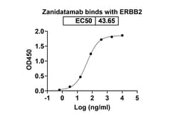 Invitrogen Zanidatamab Humanized Recombinant Human Monoclonal Antibody