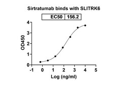 Invitrogen Sirtratumab Recombinant Human Monoclonal Antibody 100 &mu;g | Buy Online | Invitrogen&trade; | Fisher Scientific