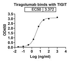 Invitrogen Tiragolumab Humanized Recombinant Human Monoclonal Antibody