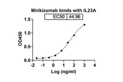Invitrogen Mirikizumab Humanized Recombinant Human Monoclonal Antibody 100 &mu;g | Buy Online | Invitrogen&trade; | Fisher Scientific